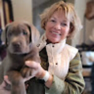 Meet your Posher, Sue